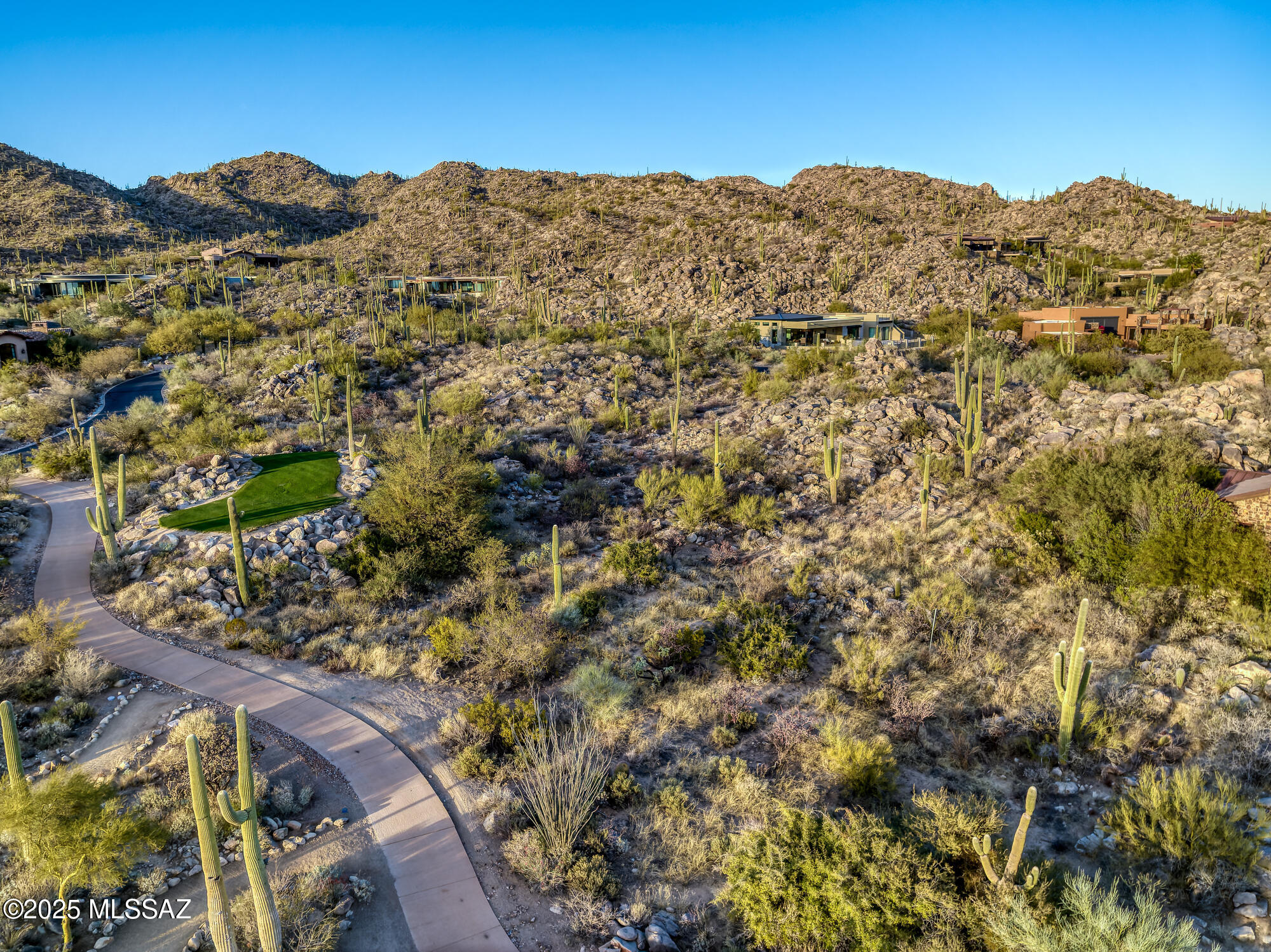 1194 W Tortolita Mountain Circle W 194