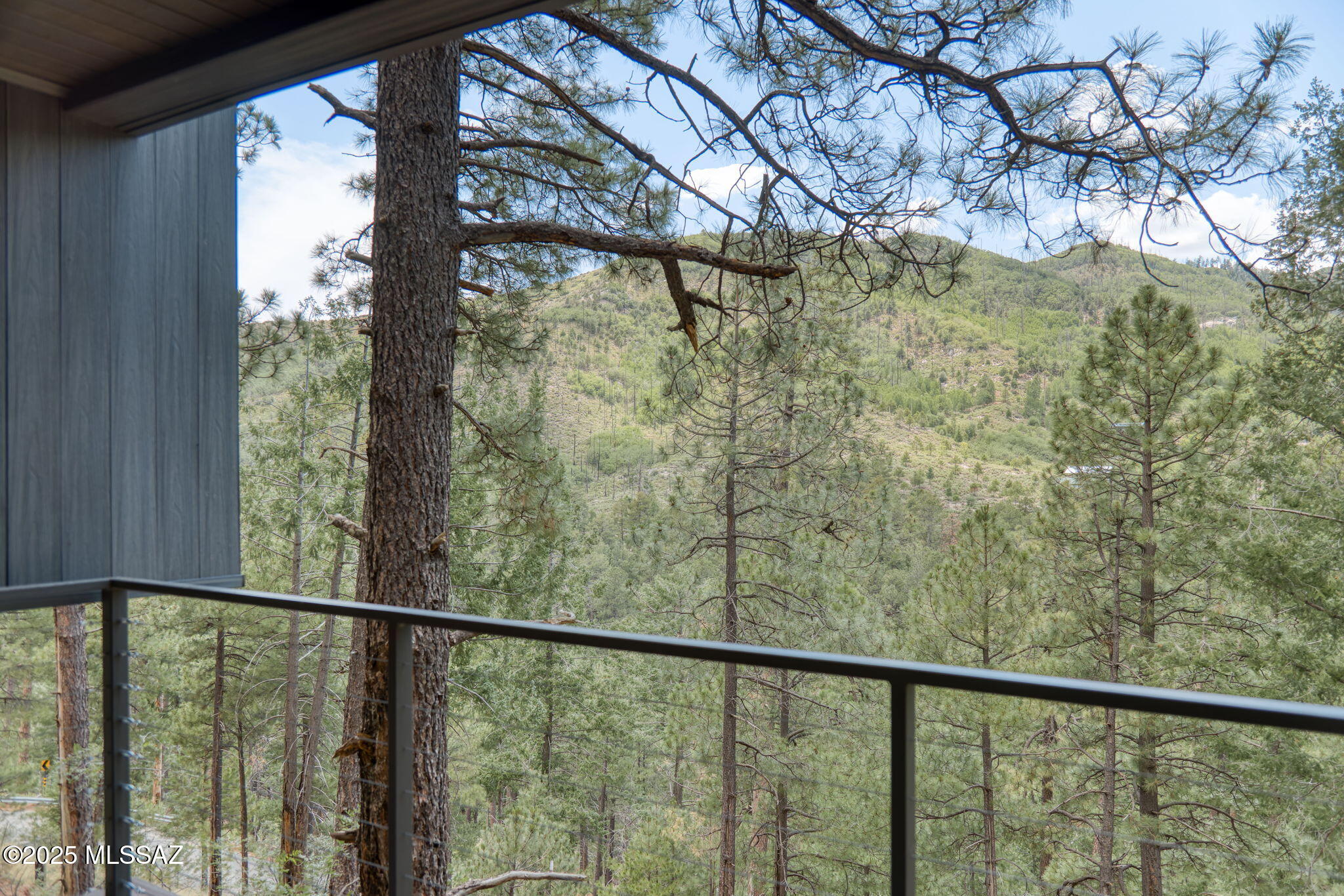 12625 N Ray Avenue, Mt. Lemmon