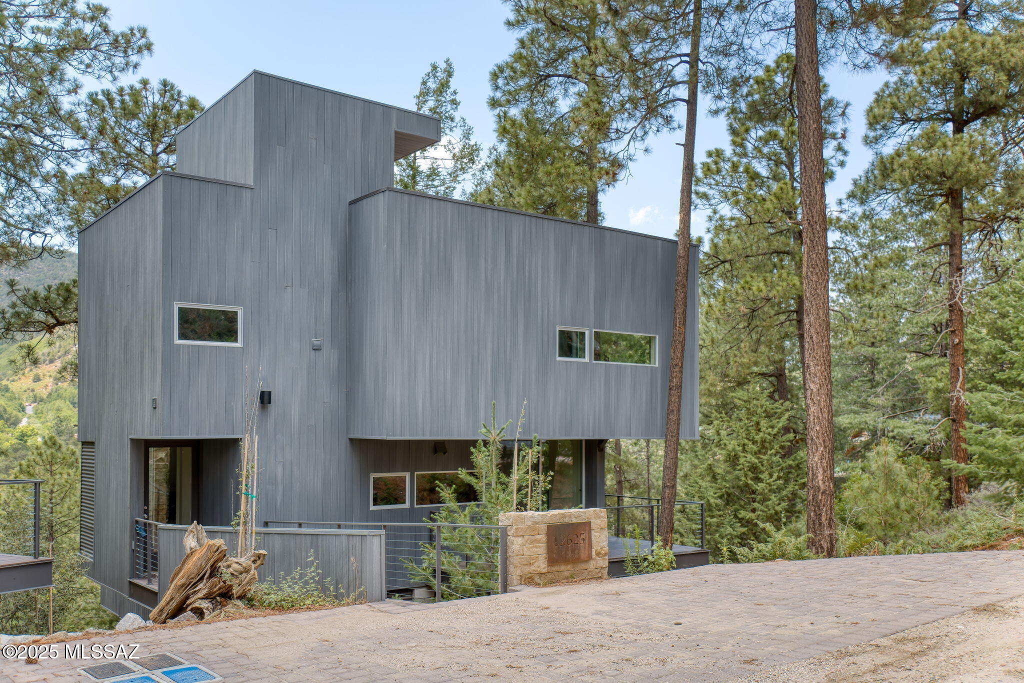 12625 N Ray Avenue, Mt. Lemmon