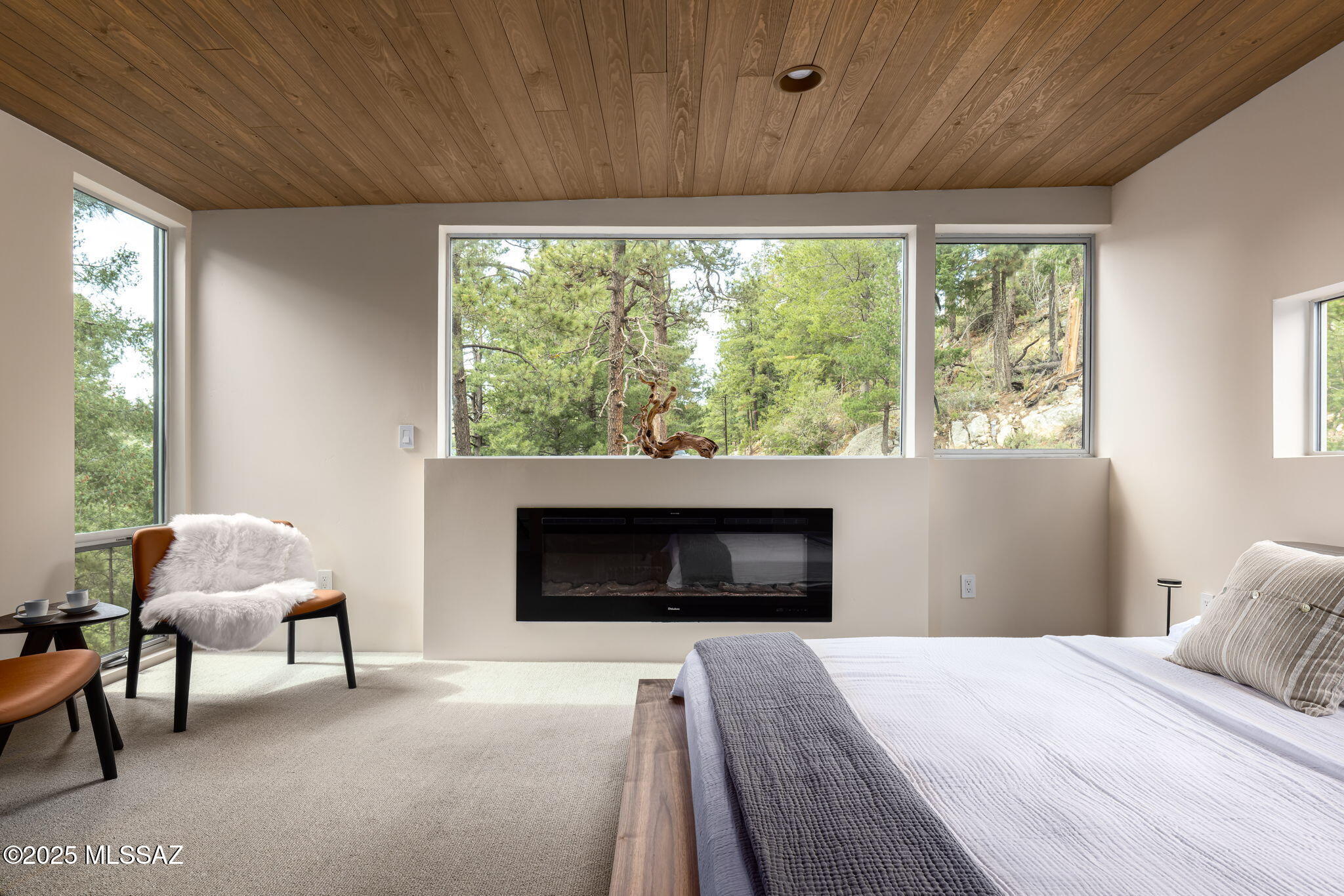 12625 N Ray Avenue, Mt. Lemmon
