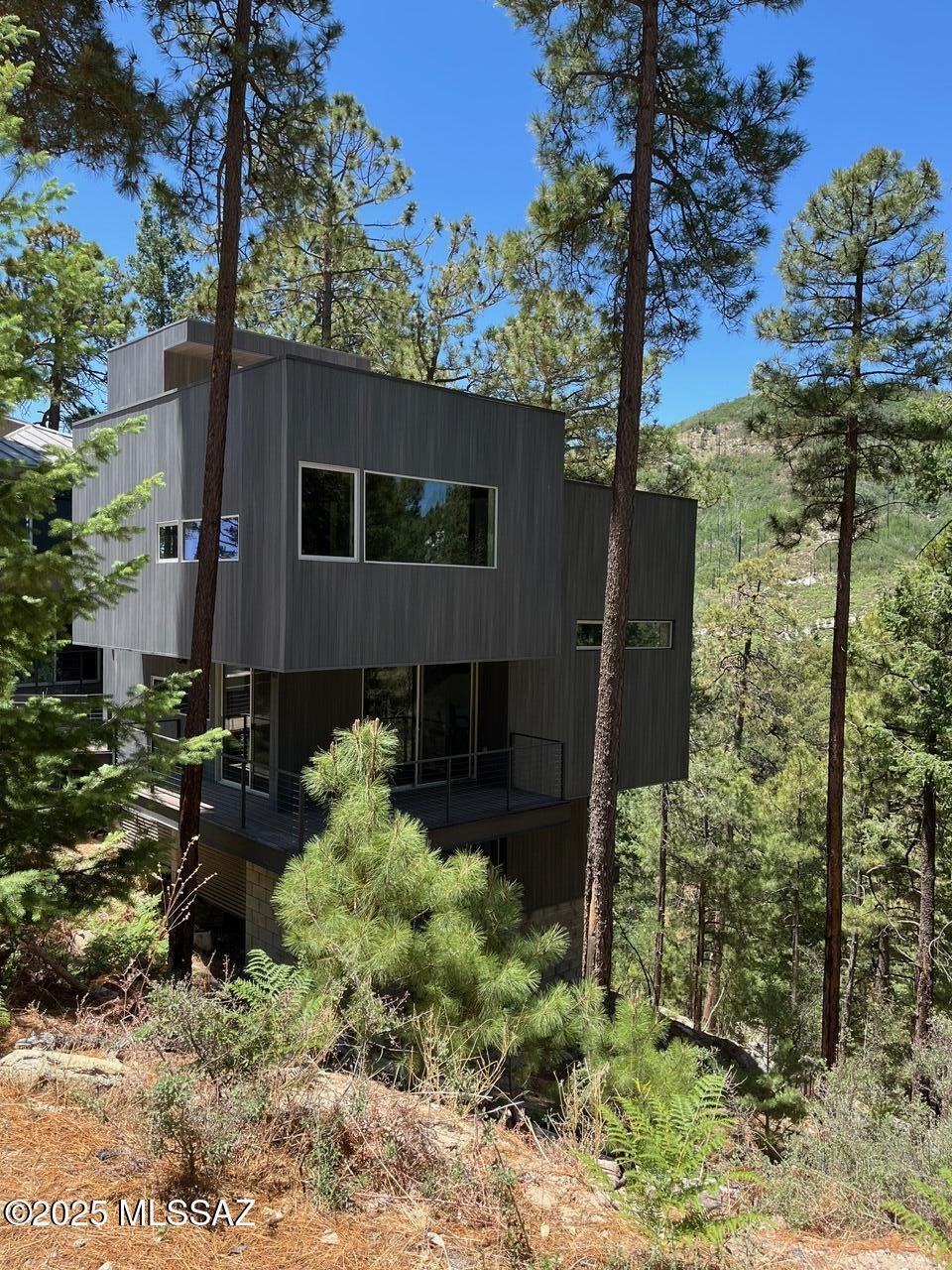 12625 N Ray Avenue, Mt. Lemmon