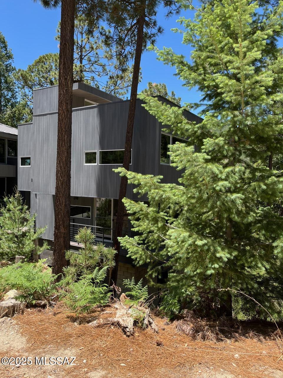 12625 N Ray Avenue, Mt. Lemmon