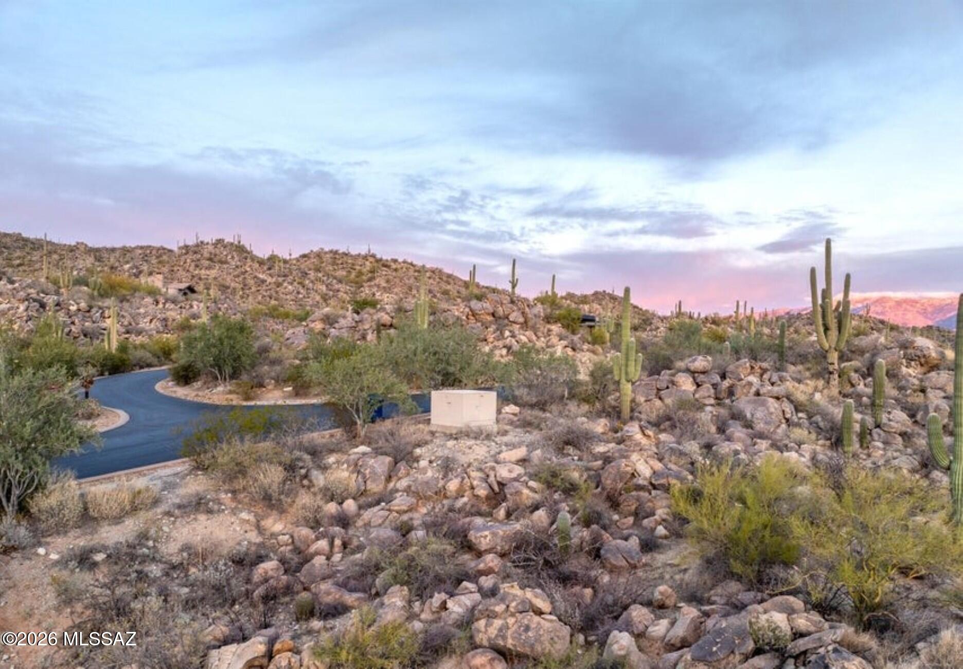 1178 W Tortolita Mountain Circle 196