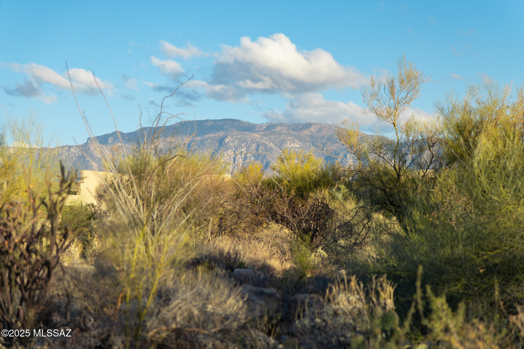 Desert landscaping and trees frame a mountain view, with part of a light-colored home at left.