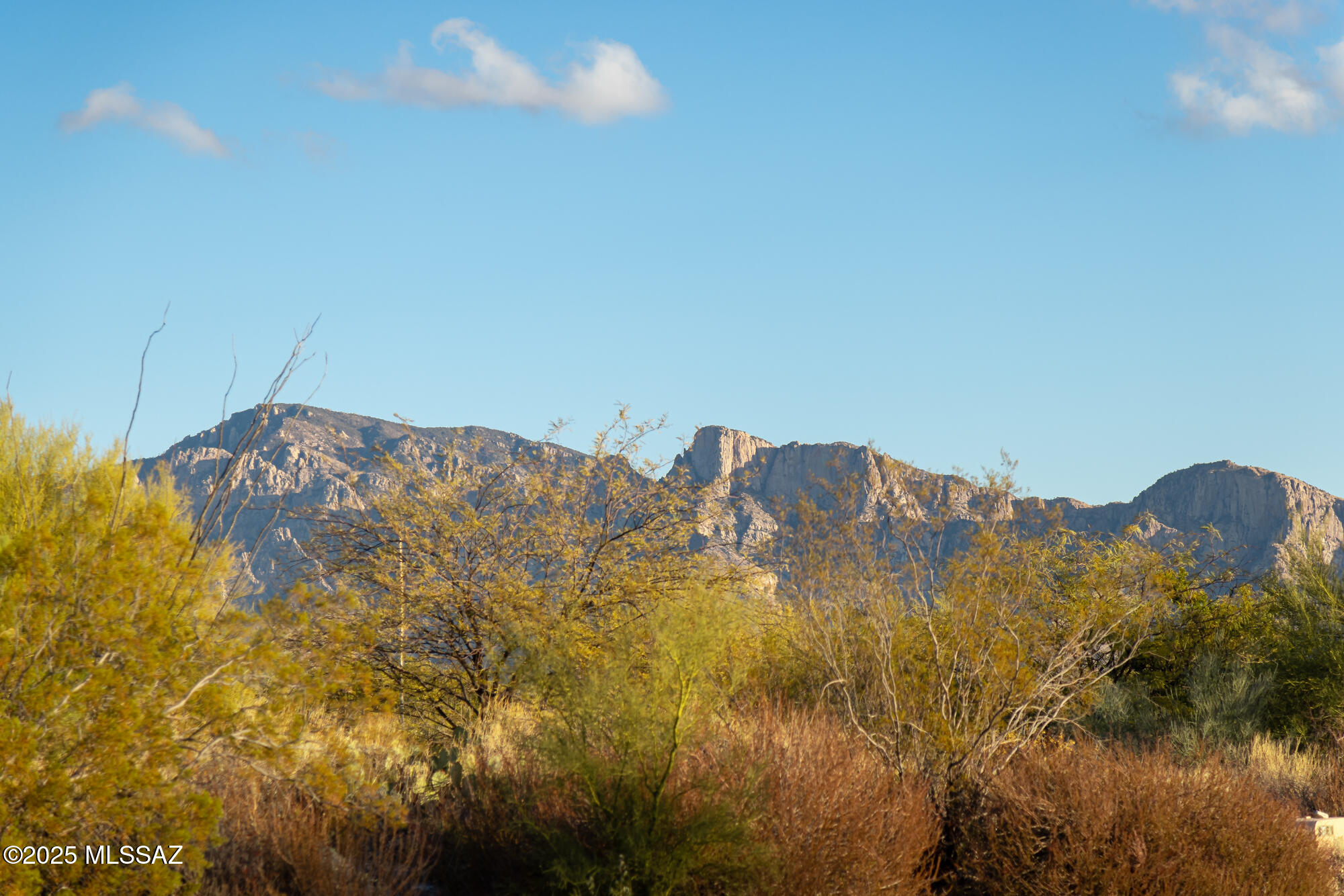 Rugged desert mountains rise behind sunlit scrub and trees.
