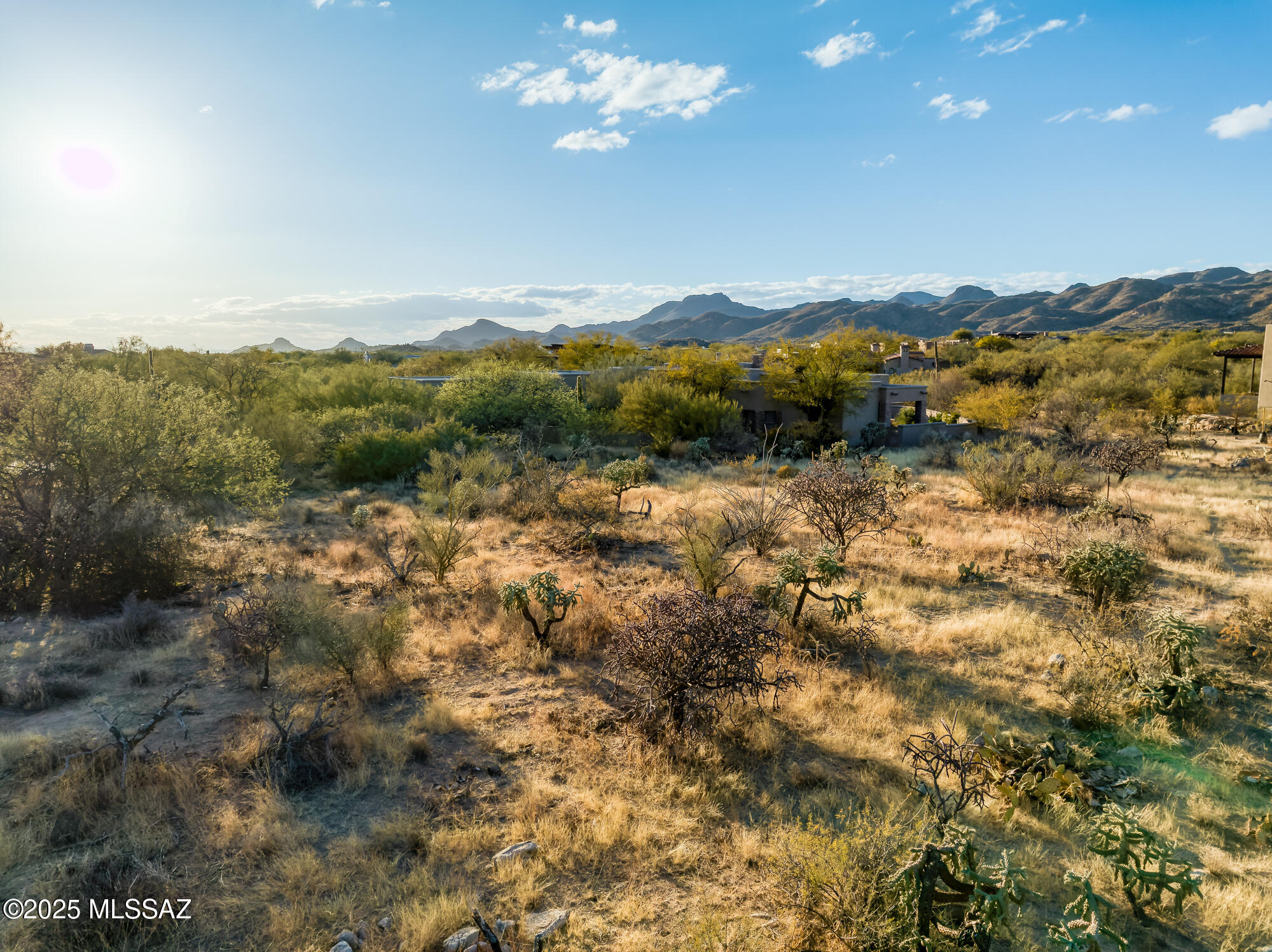 Desert property with native shrubs and cacti, neighboring homes, and mountains in the distance.