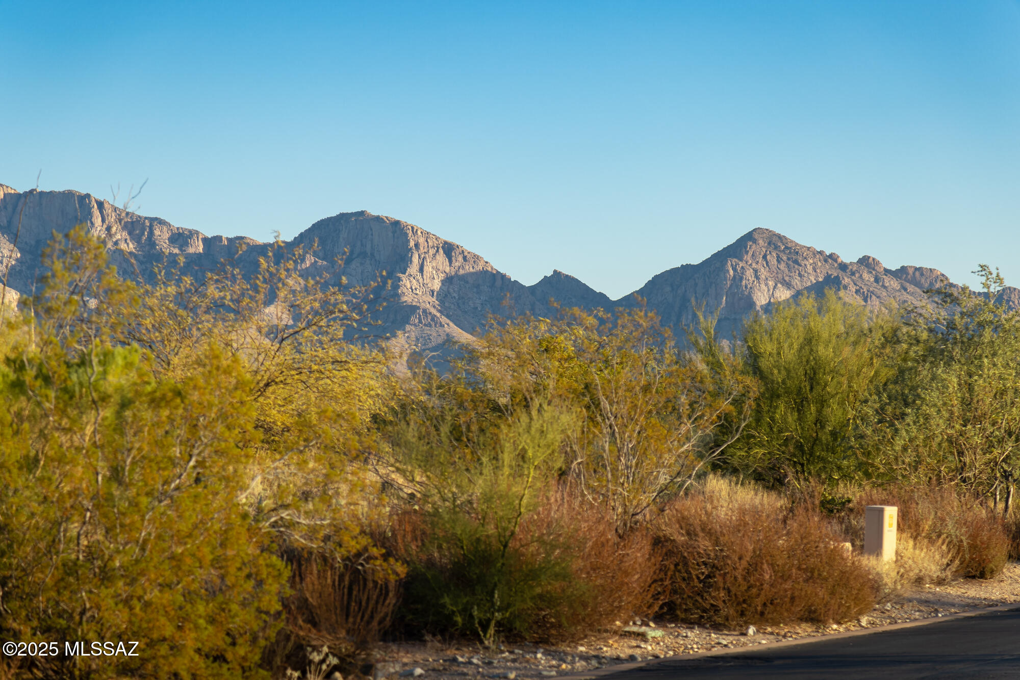 Mountain view beyond desert shrubs beside a paved road in warm evening light.
