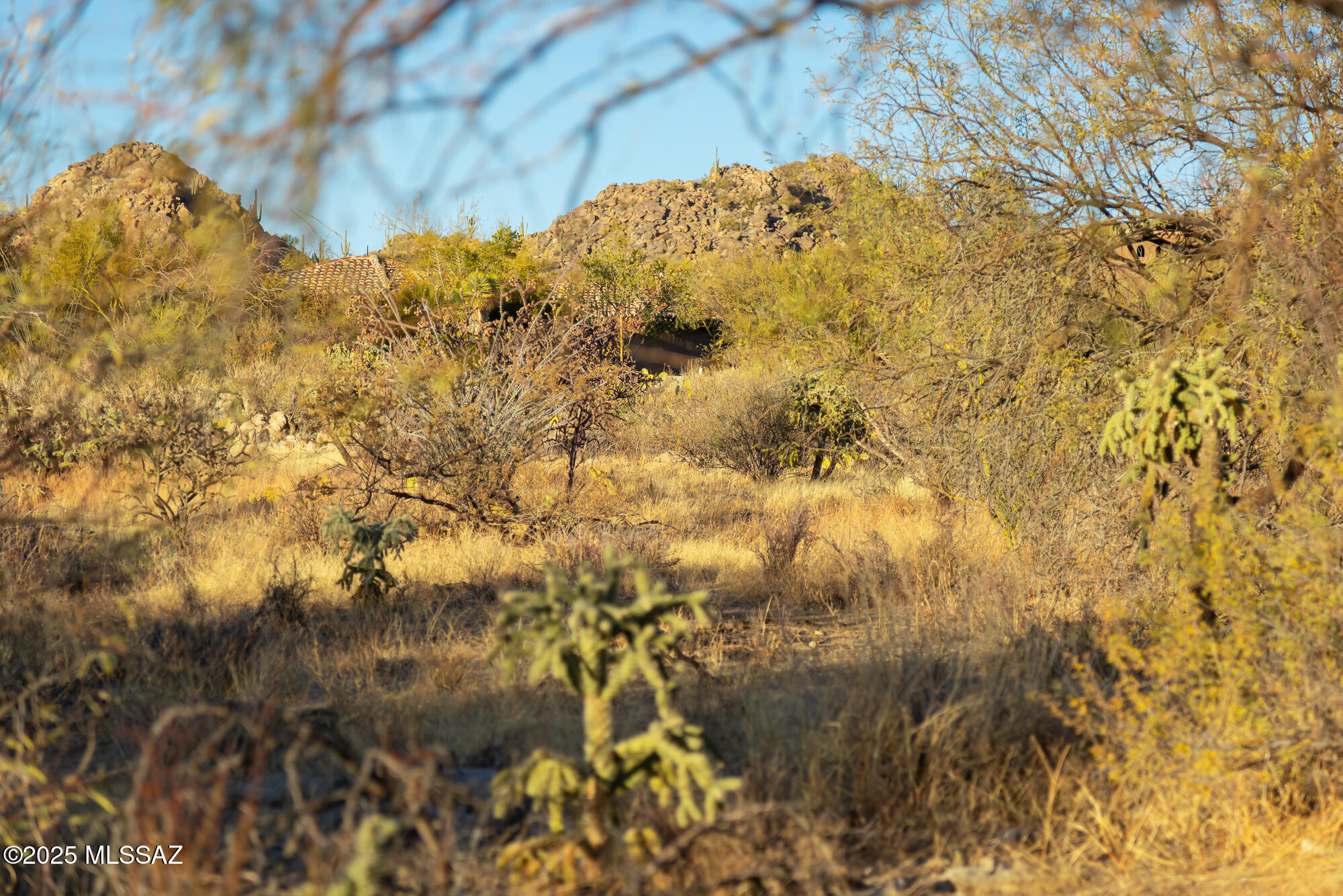 Desert property with native vegetation, a rocky hillside, and a tiled roof partly visible through the trees.