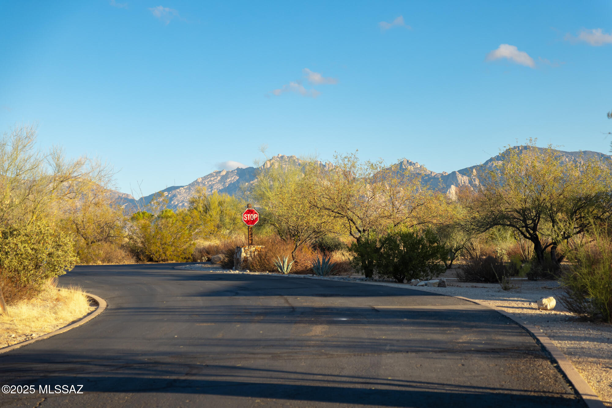 Curving residential street bordered by desert landscaping, with rugged mountains in the distance.