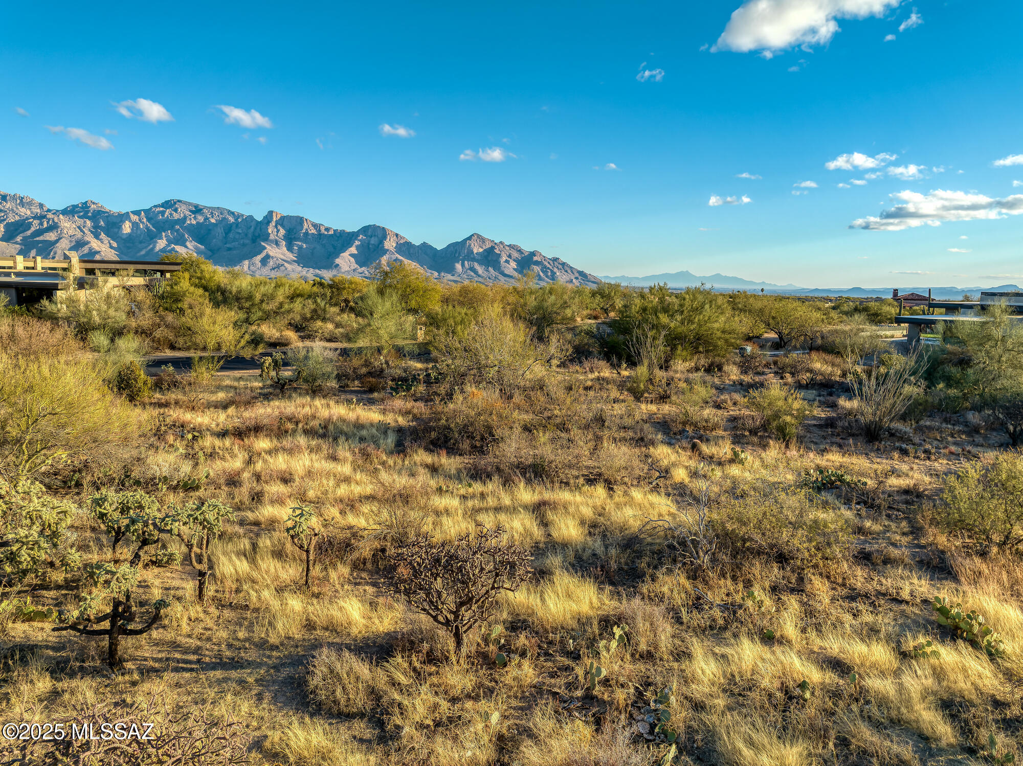 Desert lot with native vegetation and a broad mountain view beneath a blue sky.