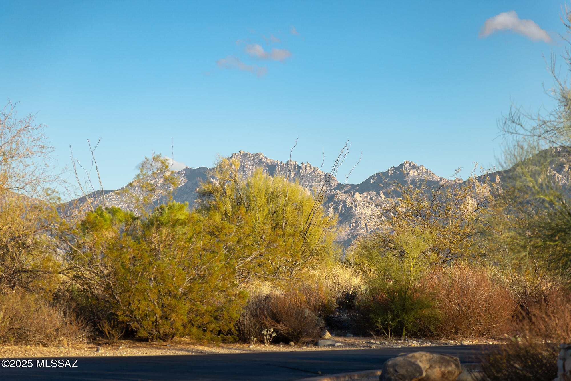 Golden desert scrub and a rugged rocky mountain range beyond a roadside under a clear blue sky.