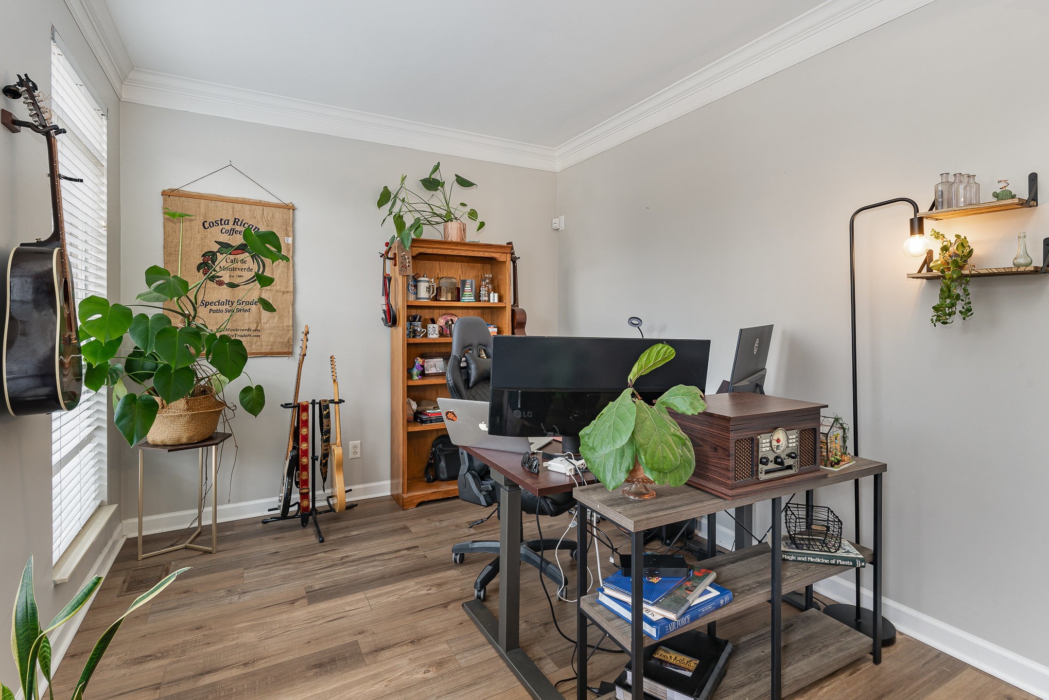 229 Wisteria Dr