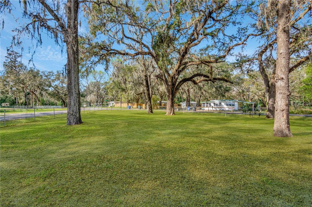 3911 ALAFIA BLVD