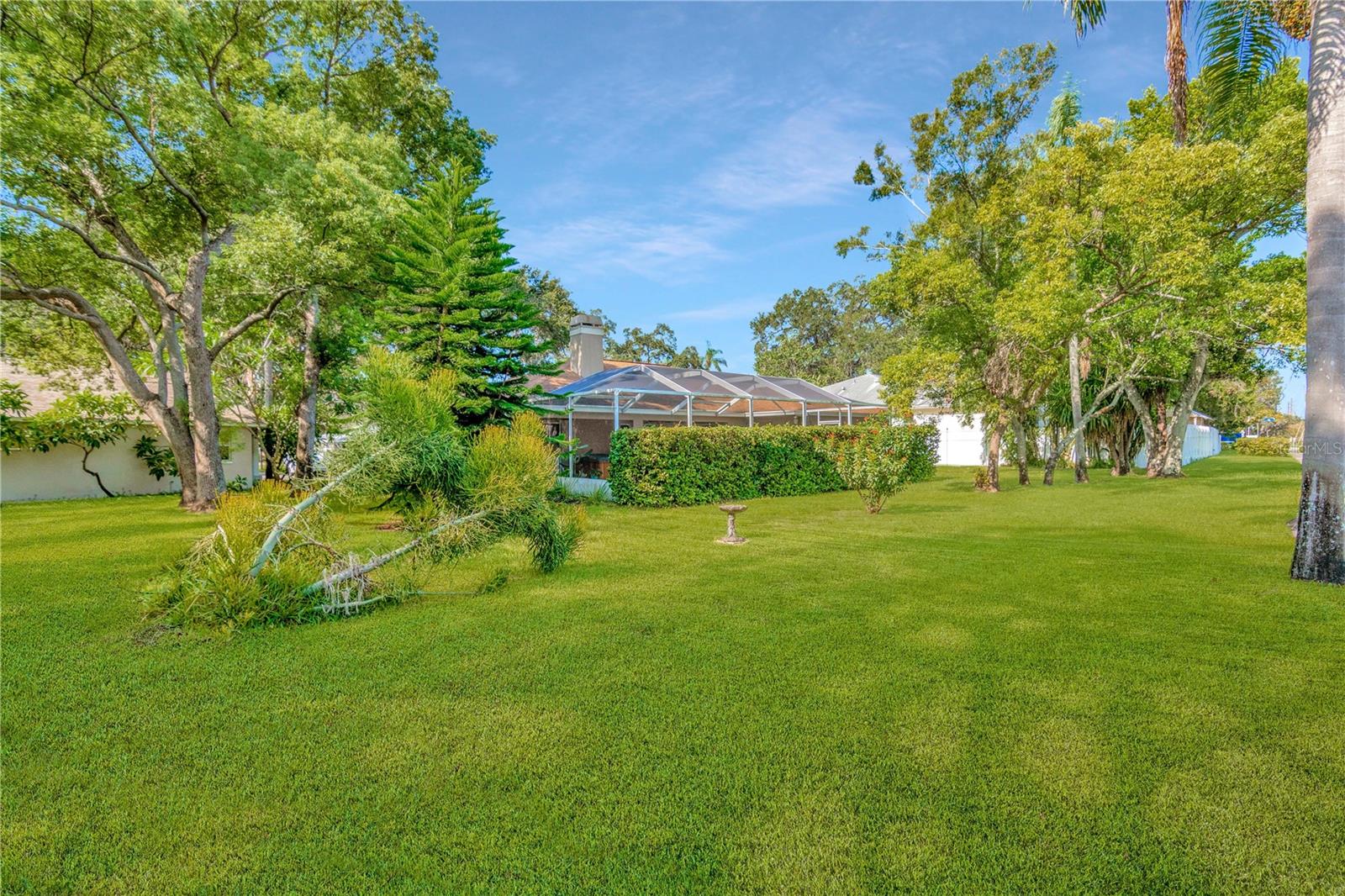 1559 JONATHAN CT