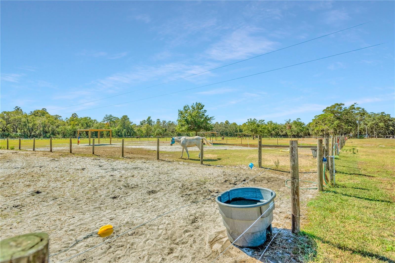 1727 SHENANDOAH RD