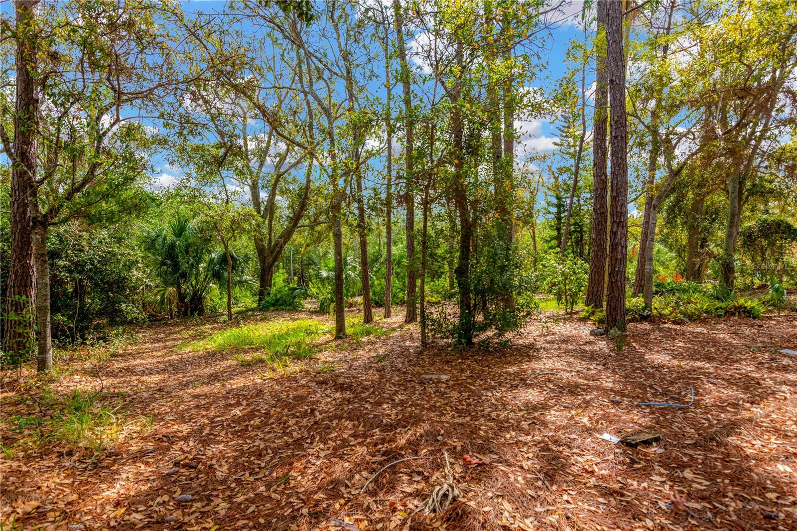2249 SAND BAY DR