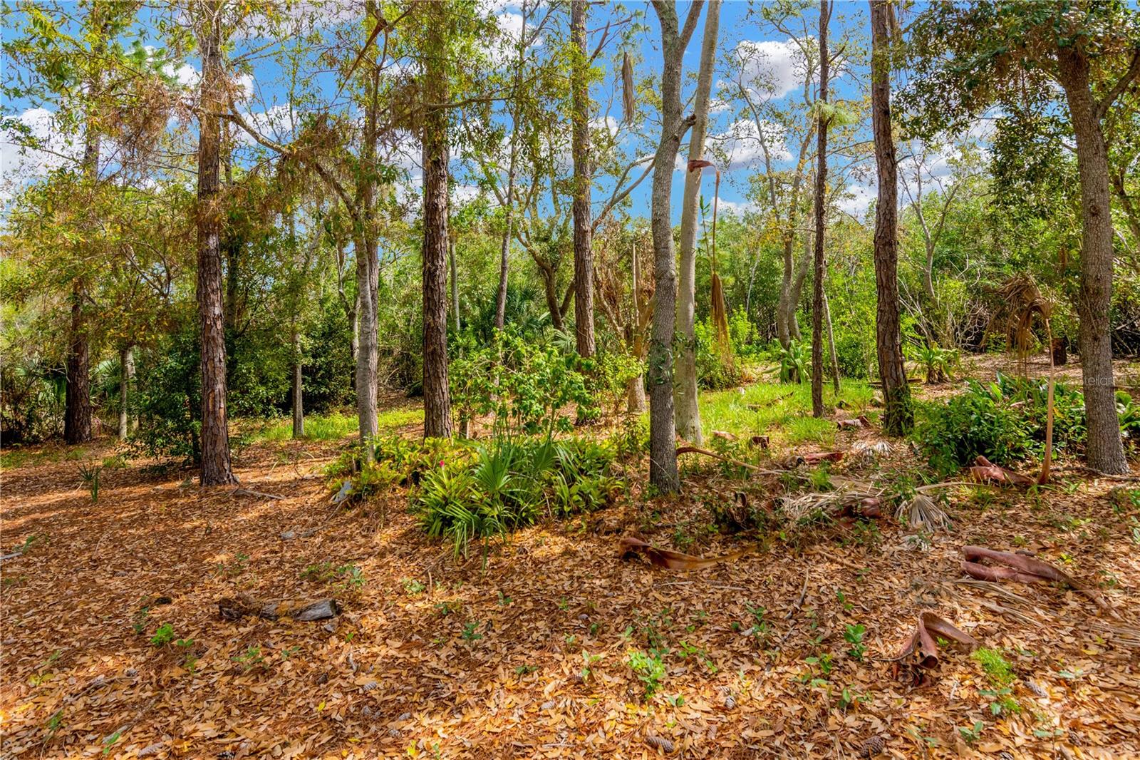 2249 SAND BAY DR