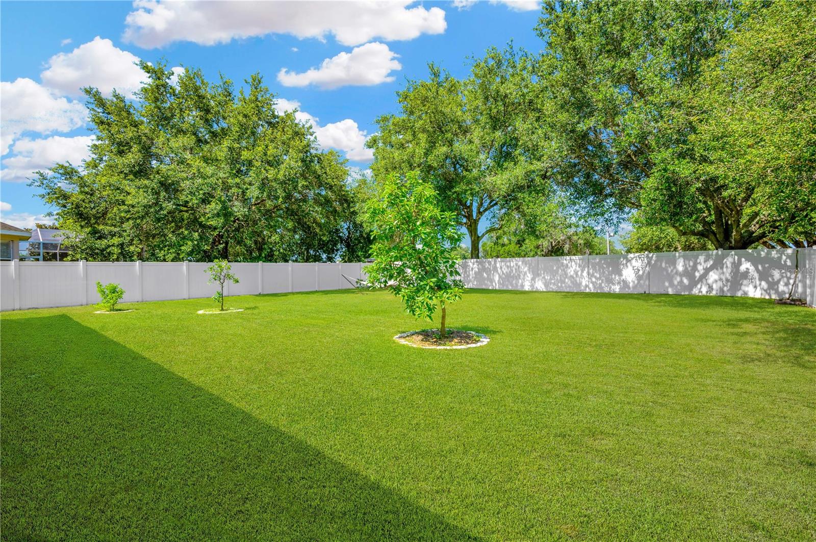 1104 FENNEL GREEN DR