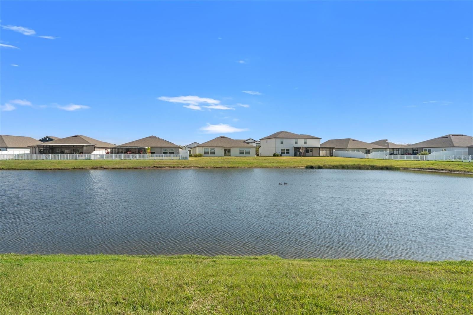 13538 WILLOW BLUESTAR LOOP