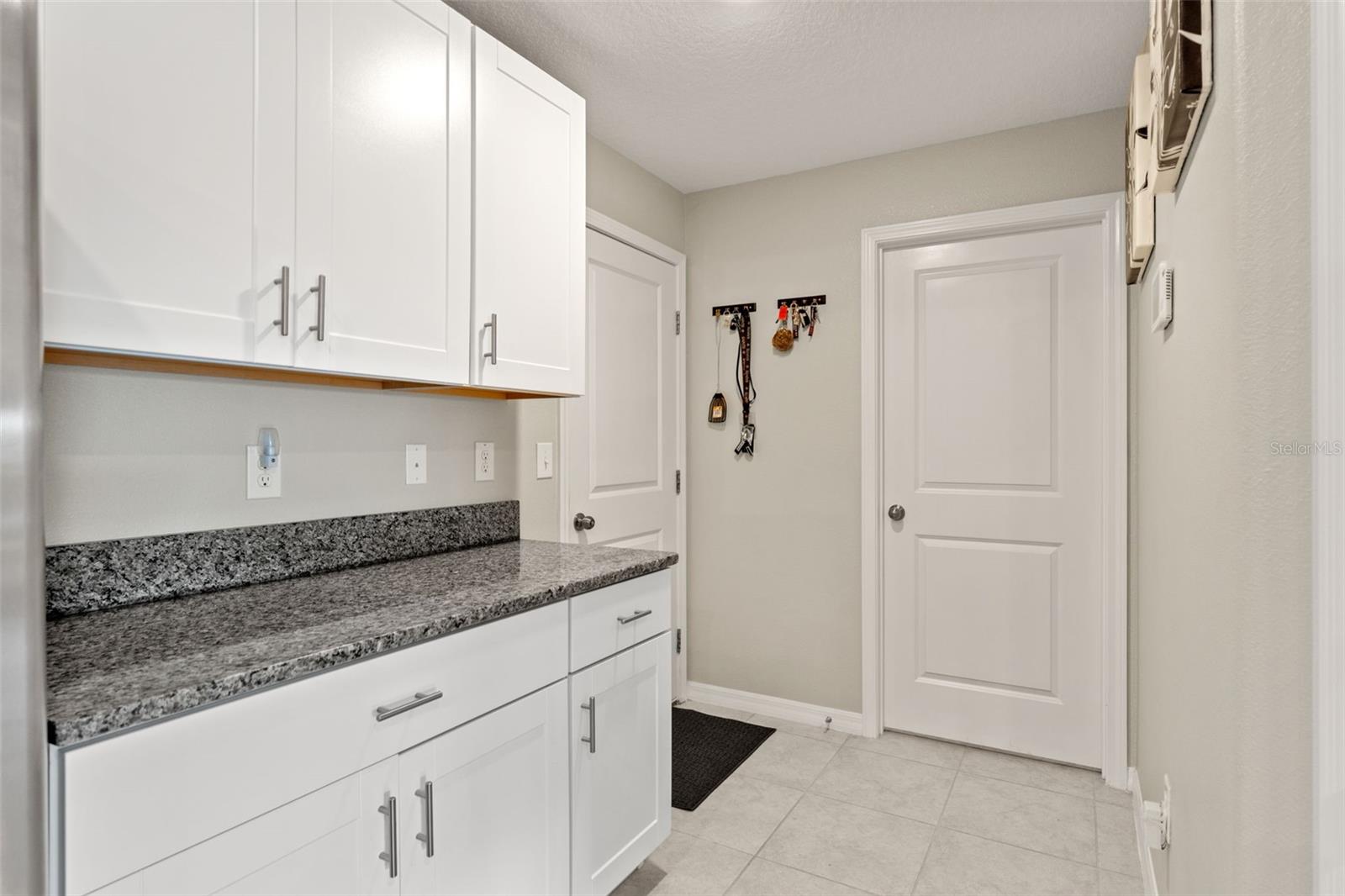 13538 WILLOW BLUESTAR LOOP