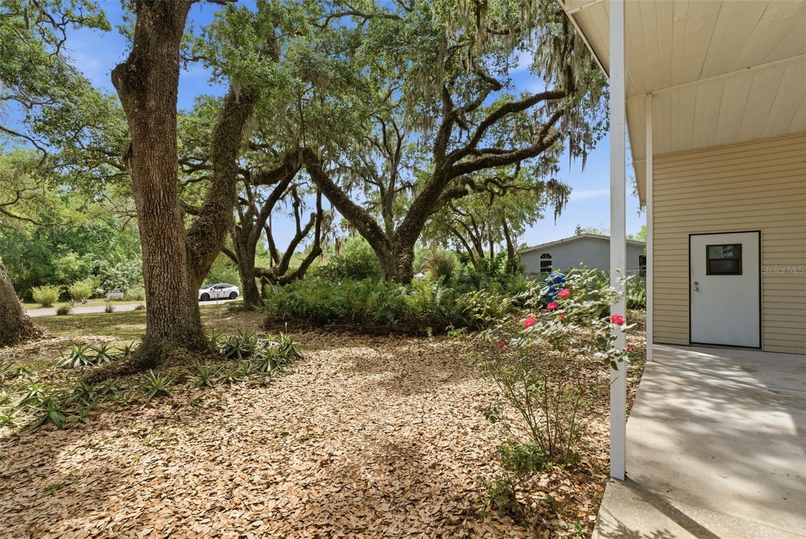 9101 WOOD TERRACE DR