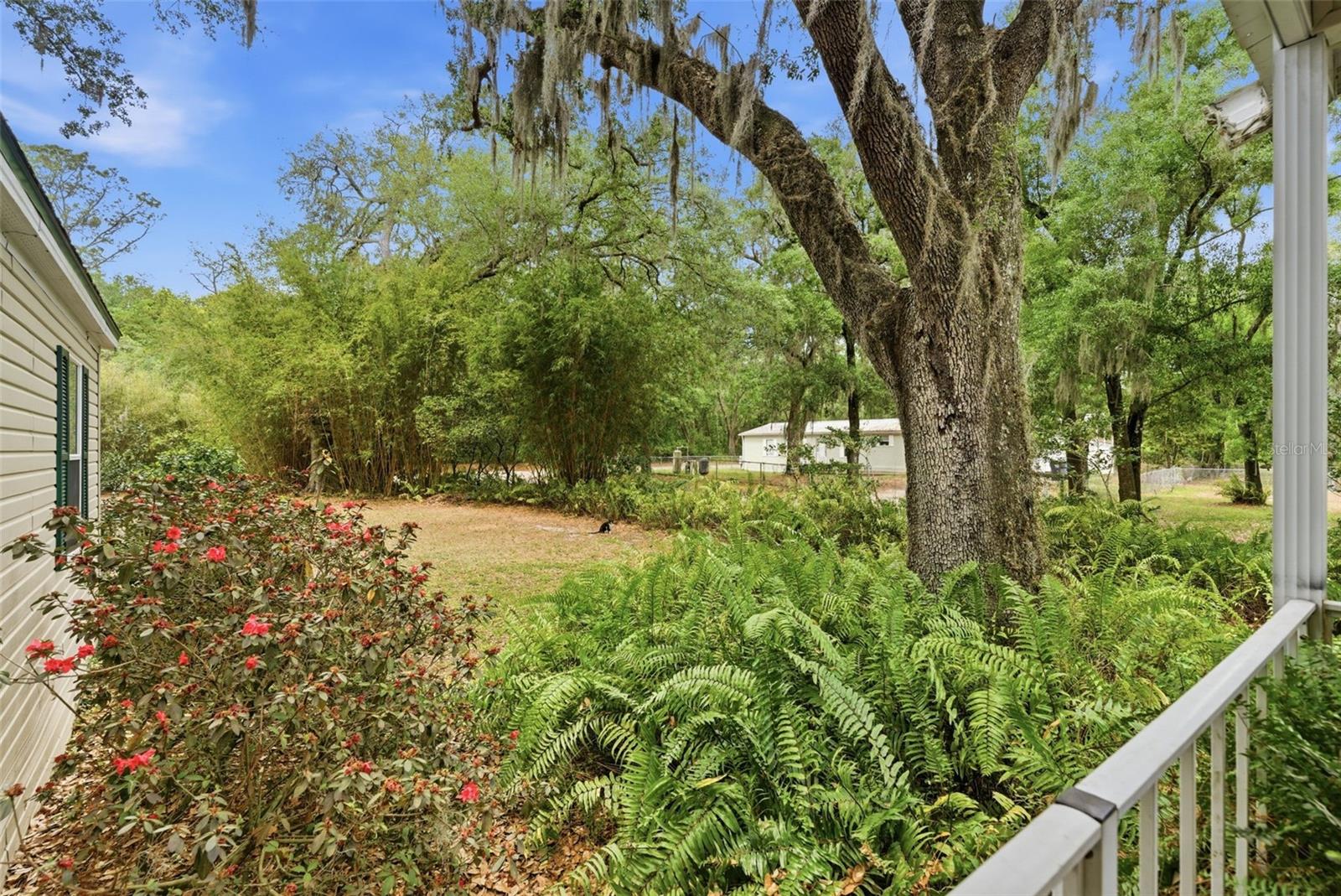 9101 WOOD TERRACE DR