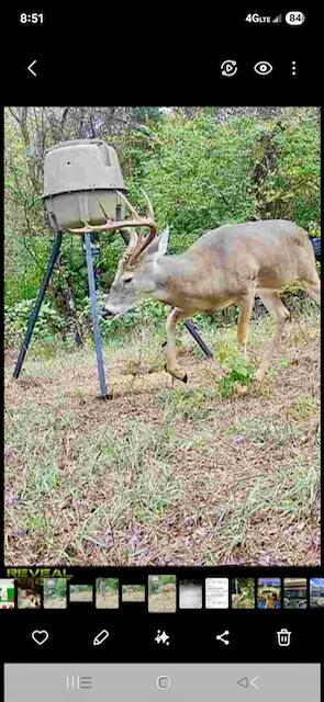 424 Bracken Hill Drive