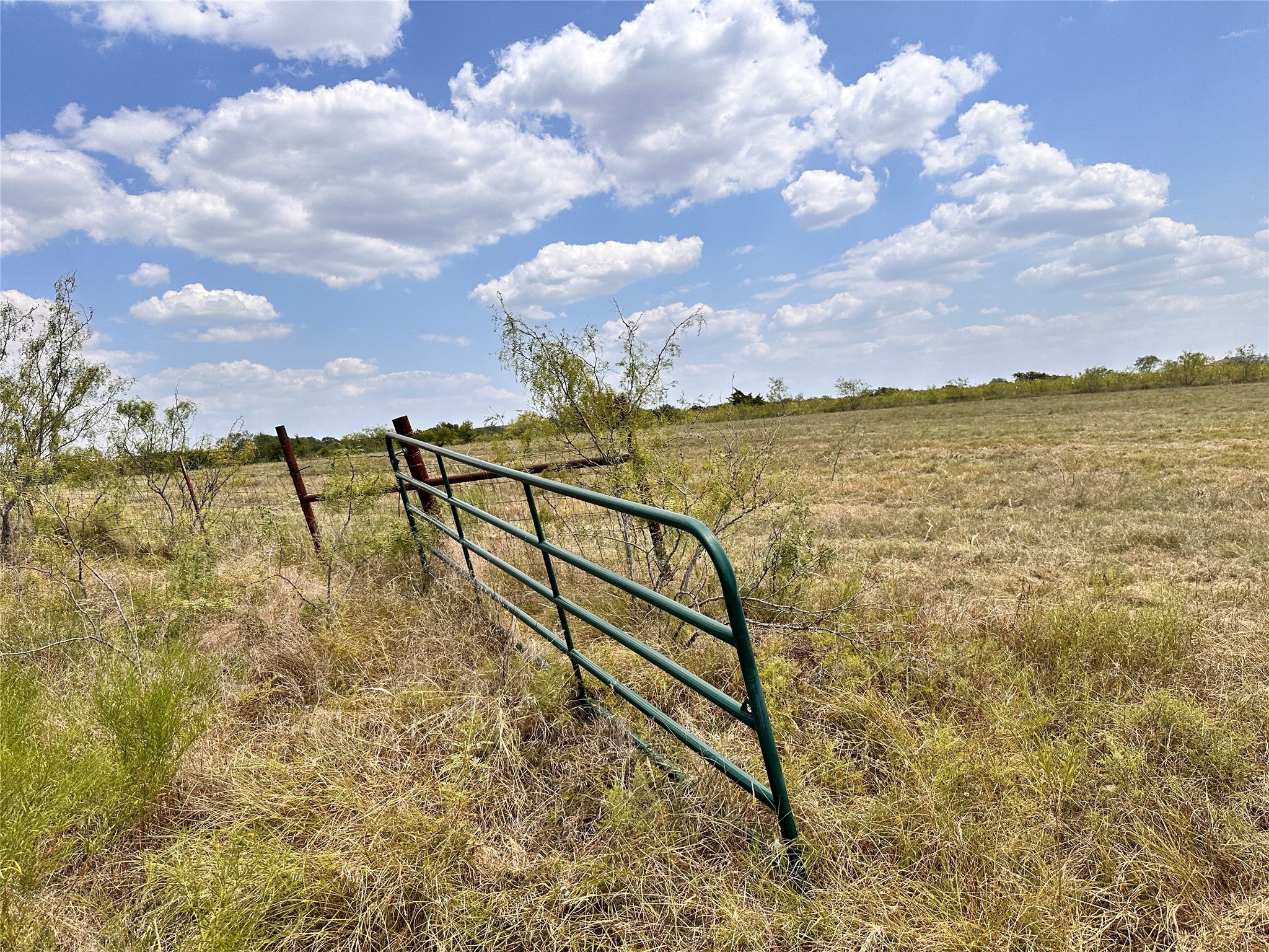 20 Acres FM-66 Highway