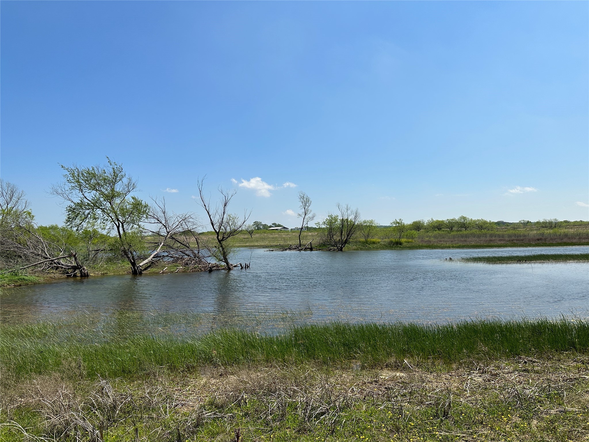 20 Acres FM-66 Highway