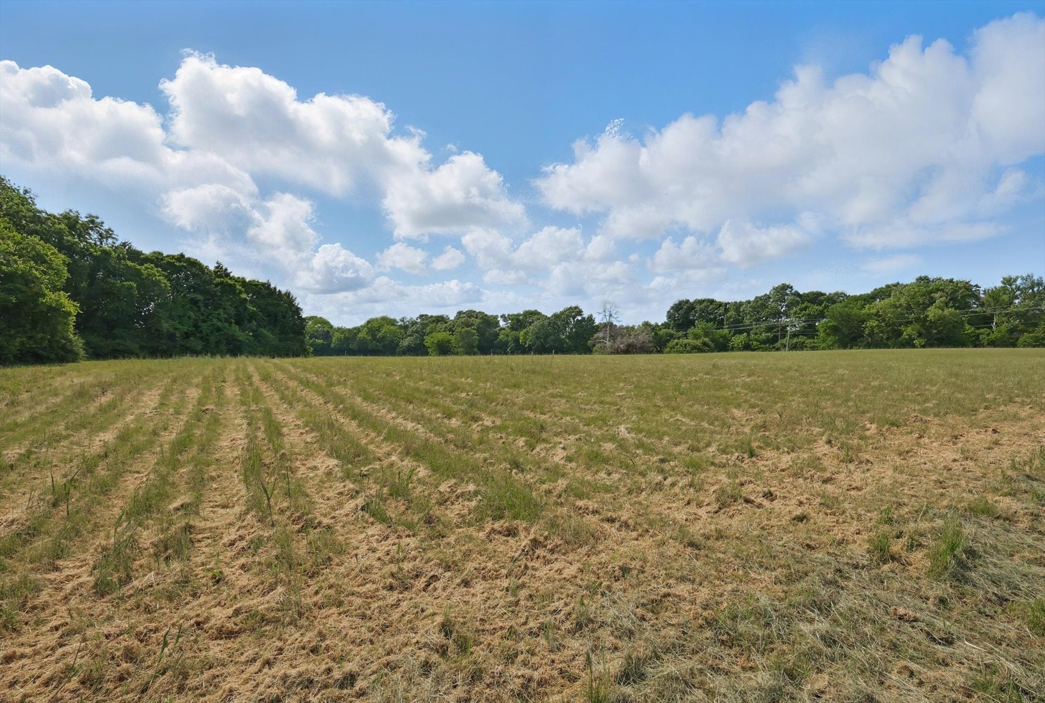 699 W Wintergreen Road