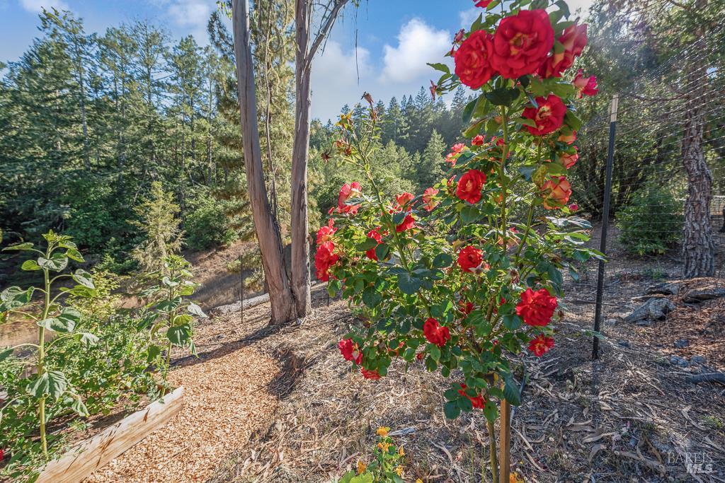 17197 Fitzpatrick Ln