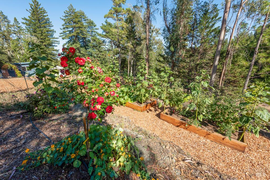 17197 Fitzpatrick Ln