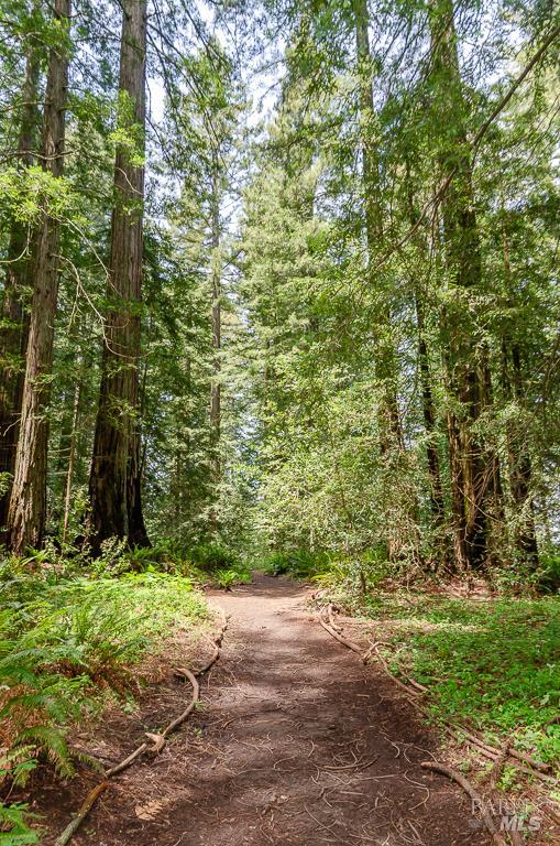 17197 Fitzpatrick Ln