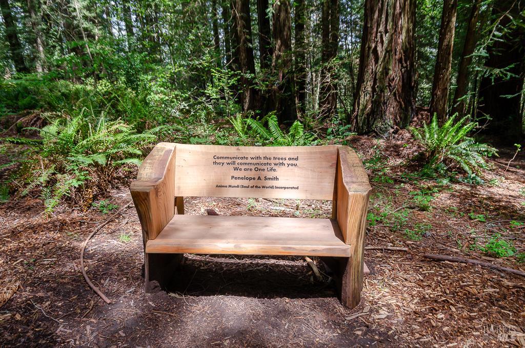 17197 Fitzpatrick Ln