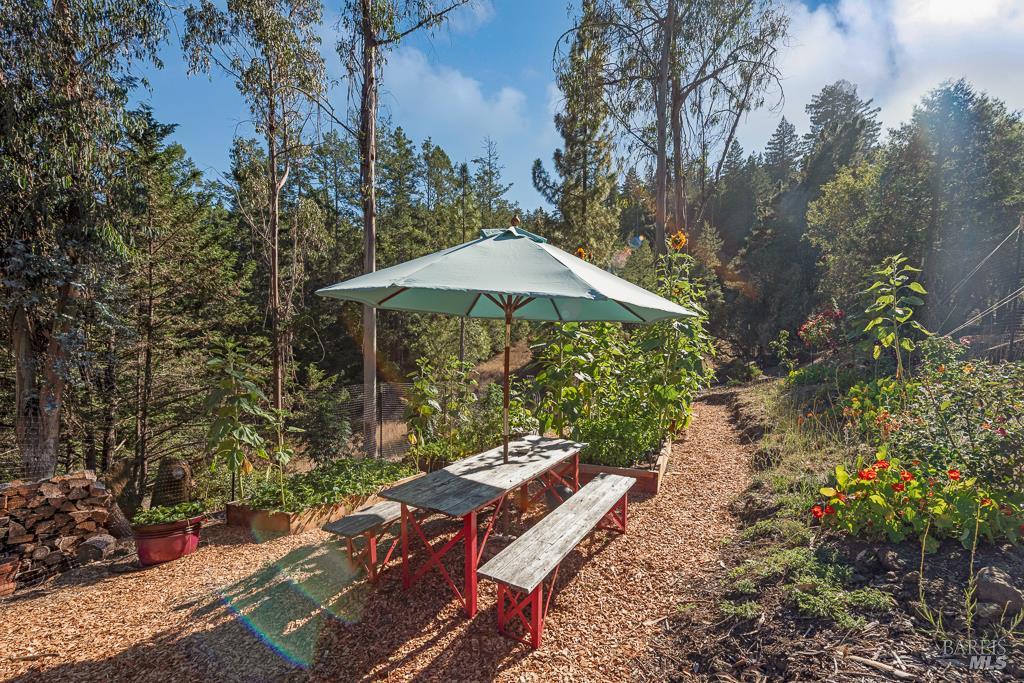 17197 Fitzpatrick Ln