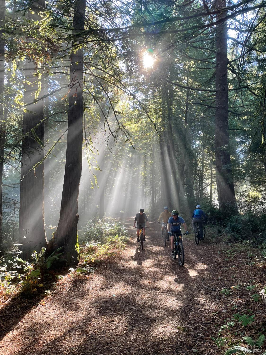 17197 Fitzpatrick Ln