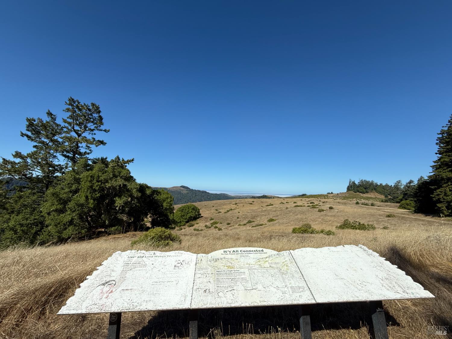 17197 Fitzpatrick Ln