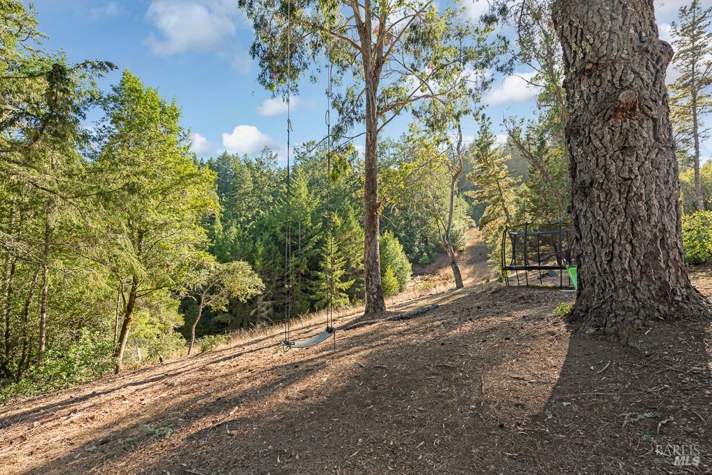 17197 Fitzpatrick Ln