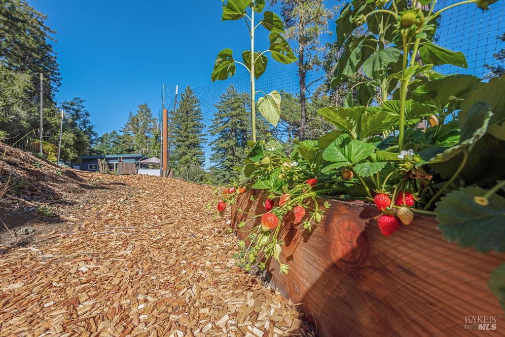 17197 Fitzpatrick Ln