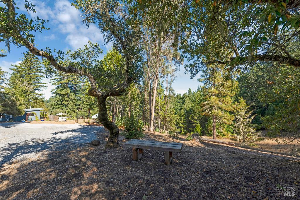 17197 Fitzpatrick Ln