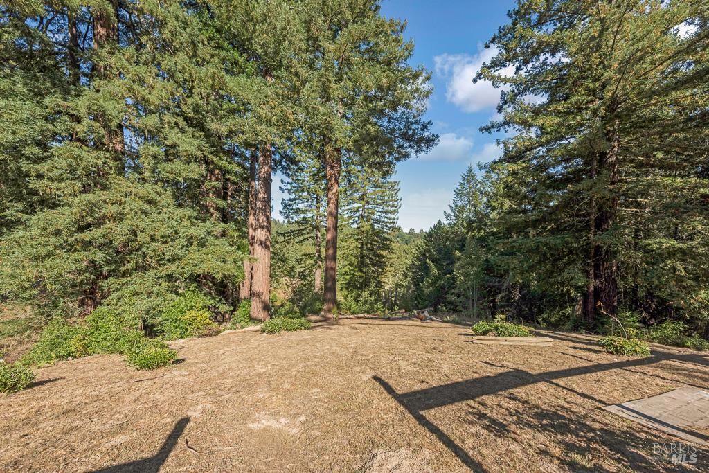 17197 Fitzpatrick Ln