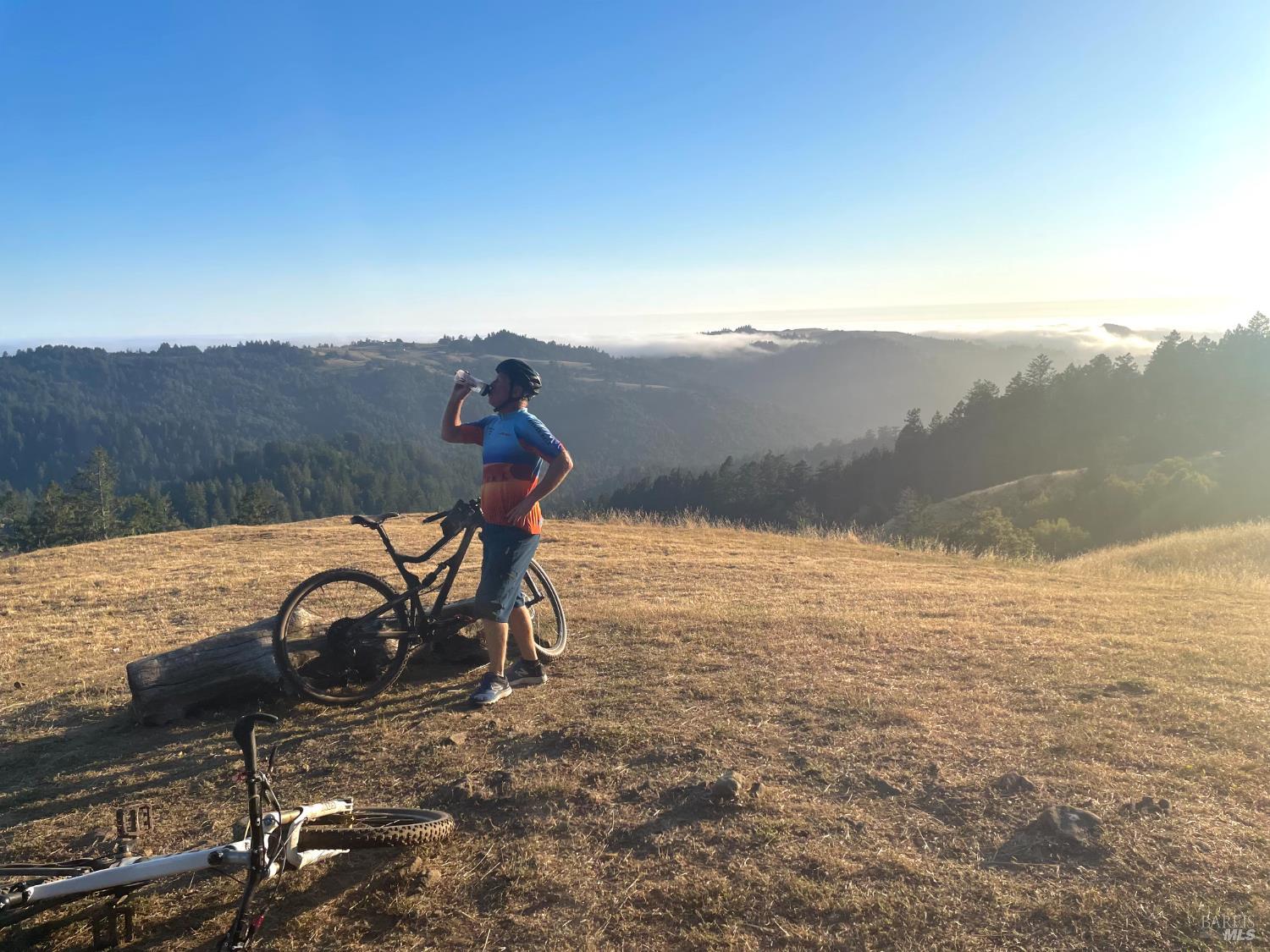 17197 Fitzpatrick Ln