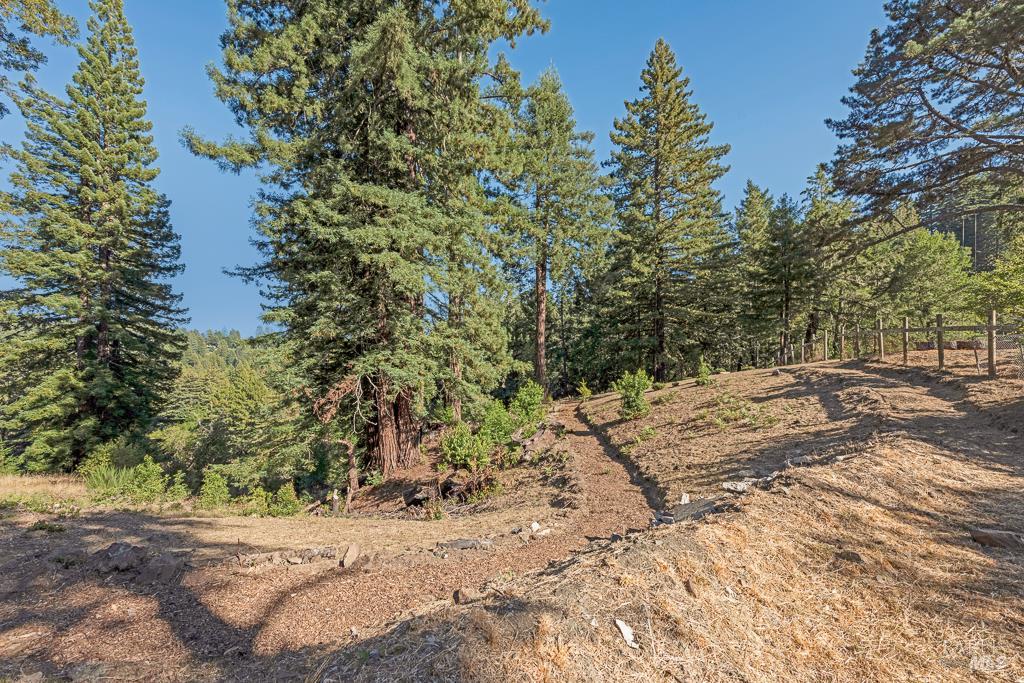 17197 Fitzpatrick Ln