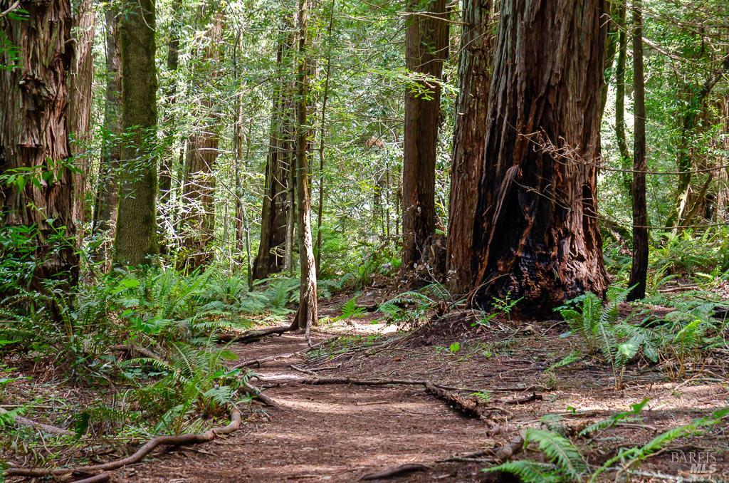 17197 Fitzpatrick Ln