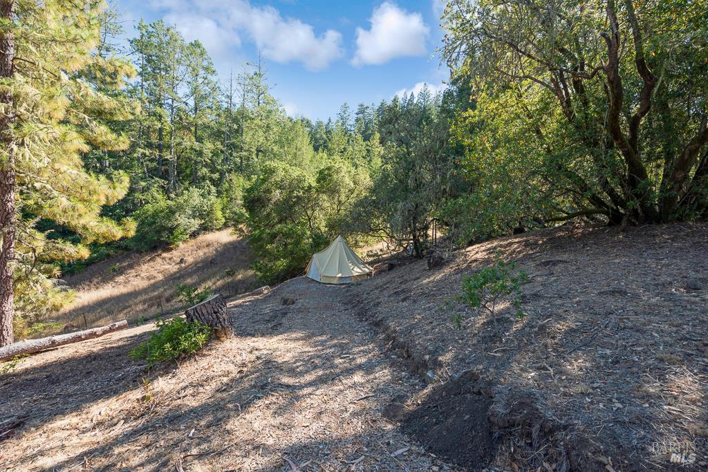 17197 Fitzpatrick Ln