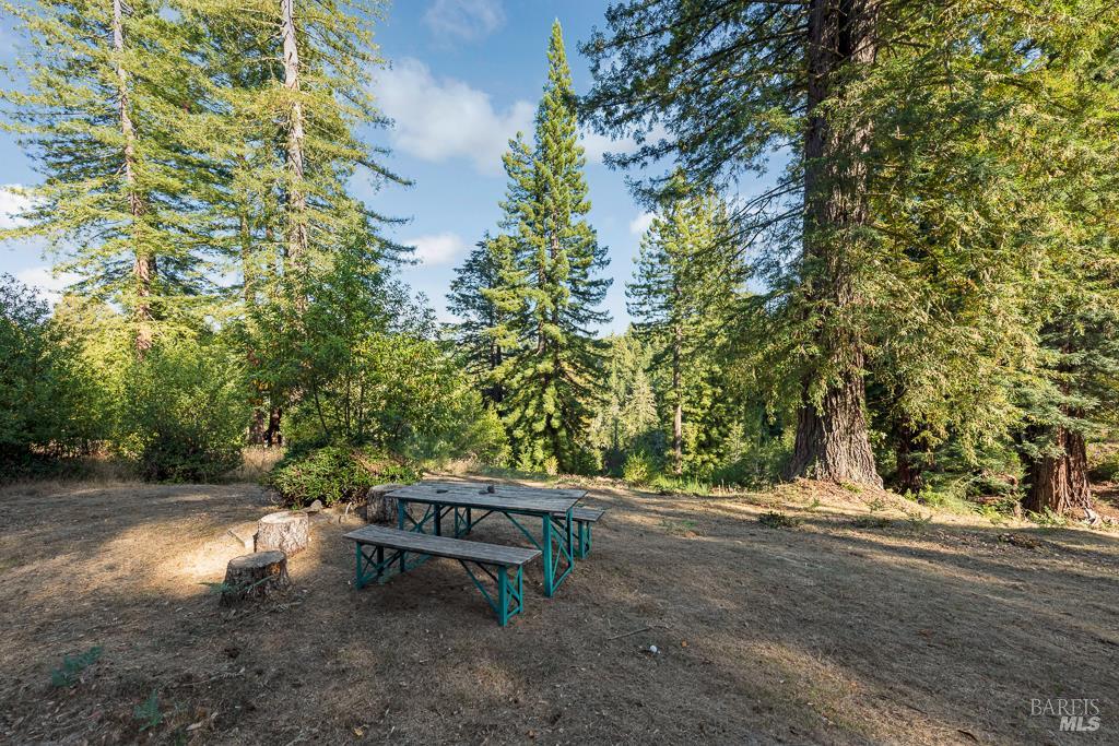 17197 Fitzpatrick Ln