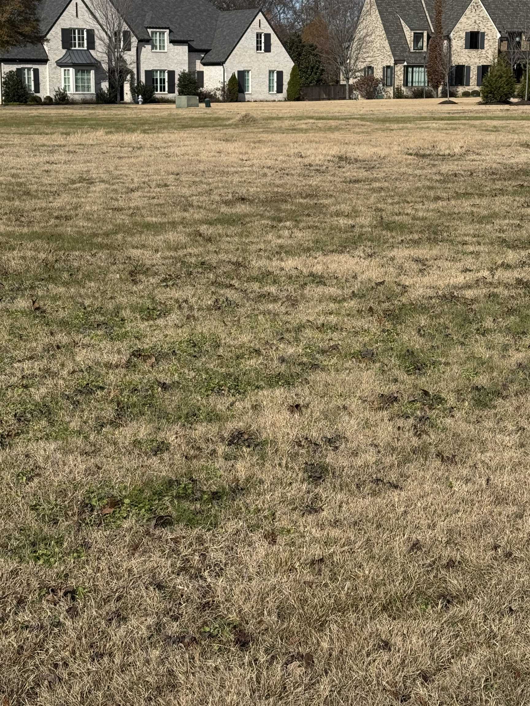 364 BLACK DUKE CIRCLE WEST CIR Unit: 91