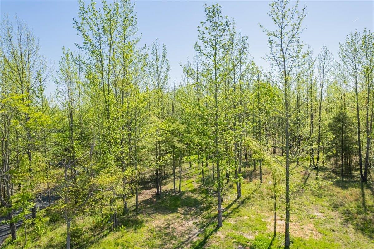 12820 12555 MAGS LN LN