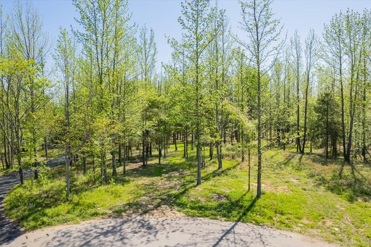 12820 12555 MAGS LN LN