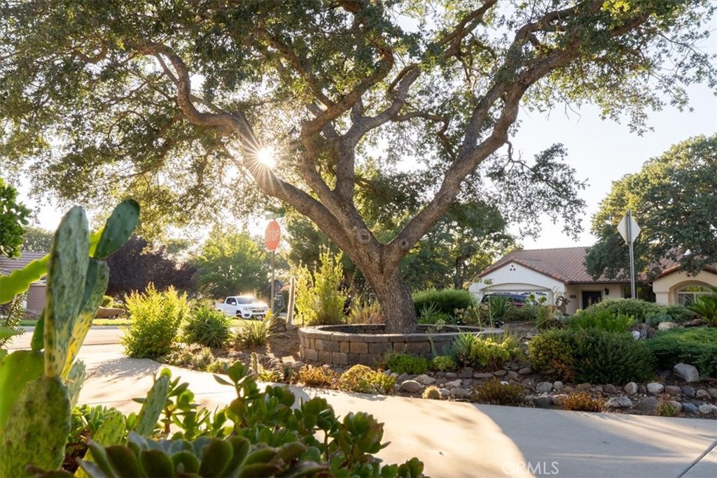 518 Grand Canyon Drive